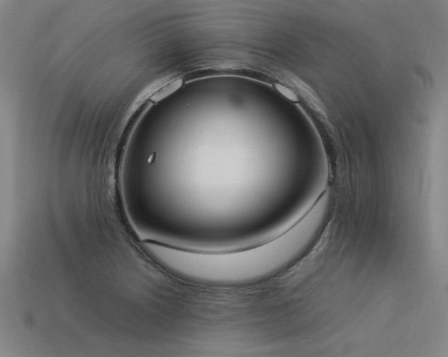 X0000113951226200909251332
