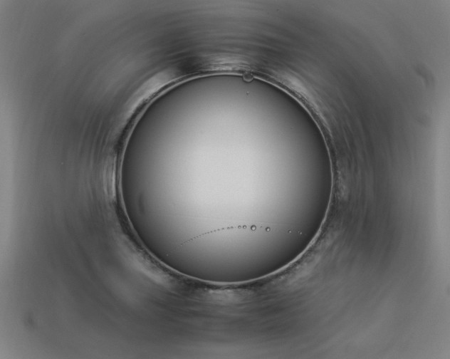 X0000113951227200909251332