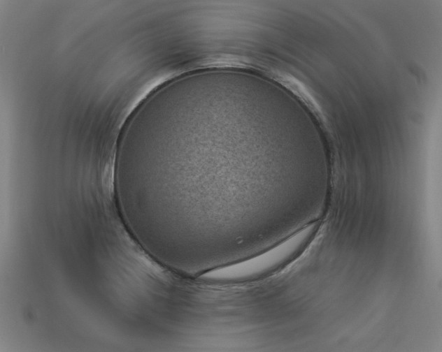 X0000113951228200909251332