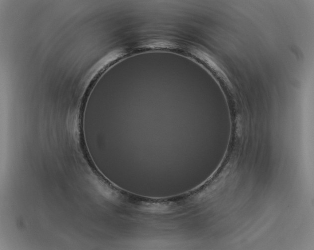 X0000113951229200909251332