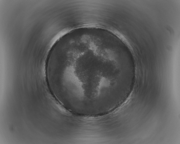 X0000113951230200909251332