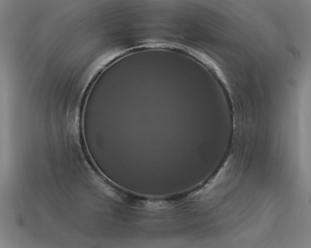 X0000113951231200909251332