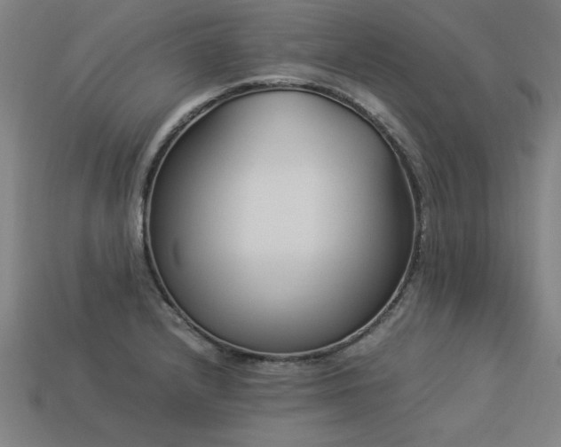 X0000113951232200909251332