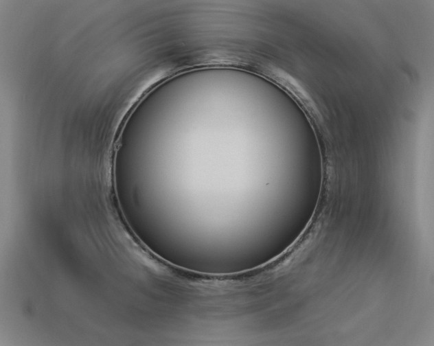 X0000113951236200909251332