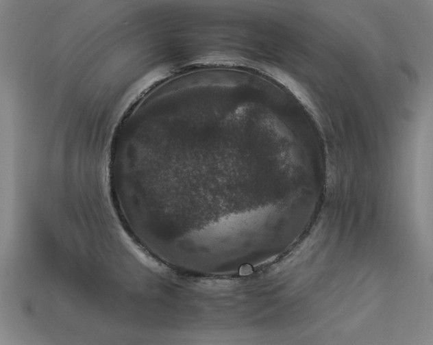 X0000113951237200909251332