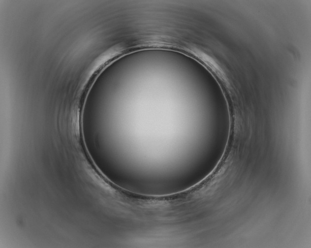 X0000113951238200909251332