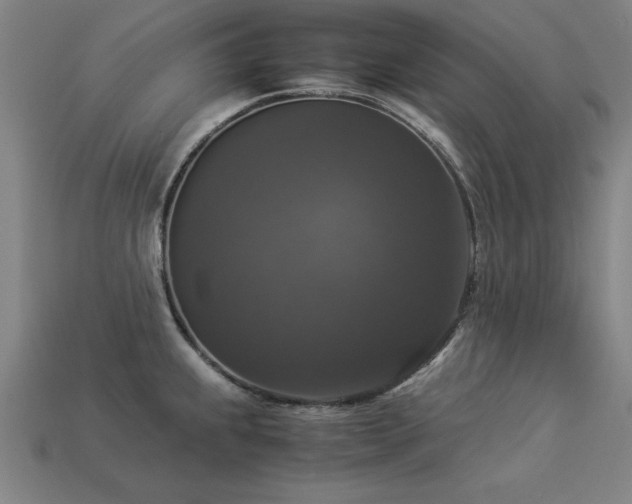 X0000113951239200909251332