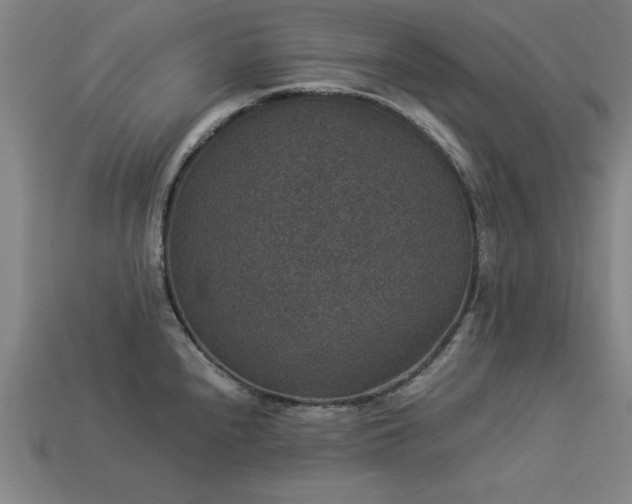 X0000113951240200909251332