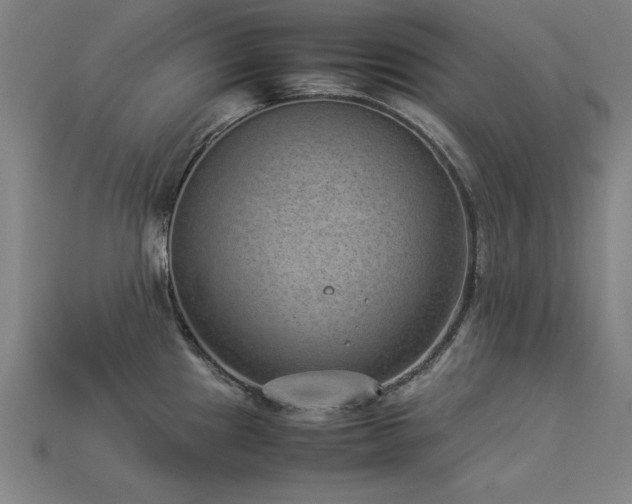 X0000113951241200909251332
