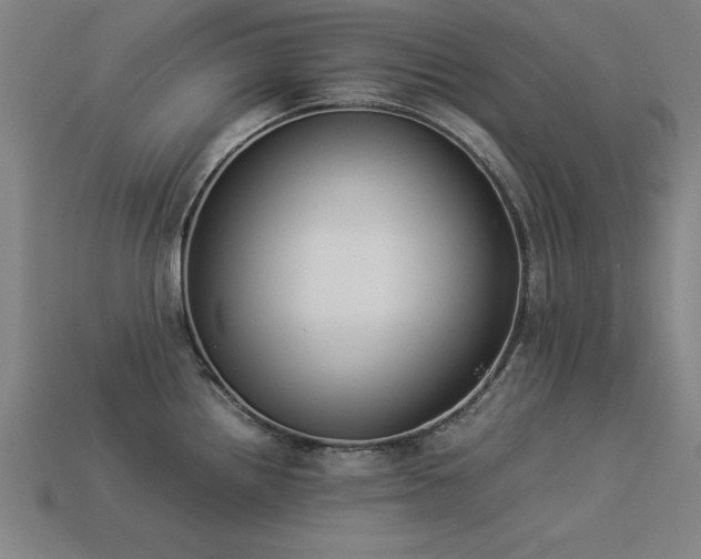 X0000113951242200909251332