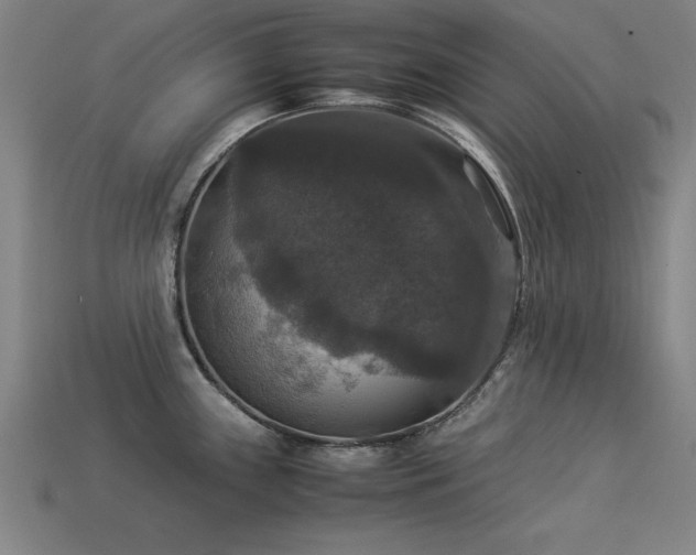 X0000113951243200909251332