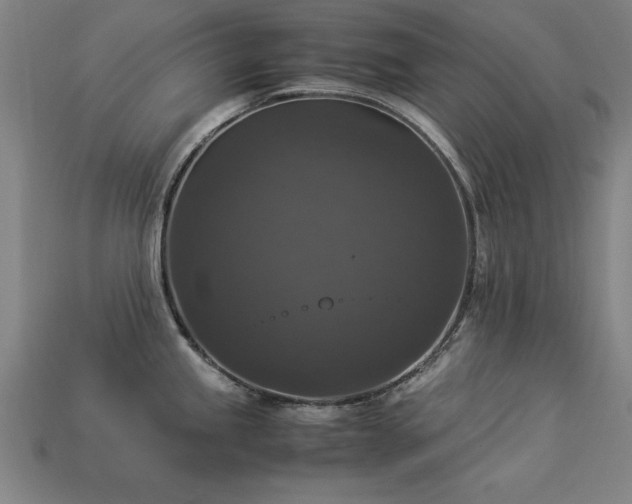 X0000113951245200909251332