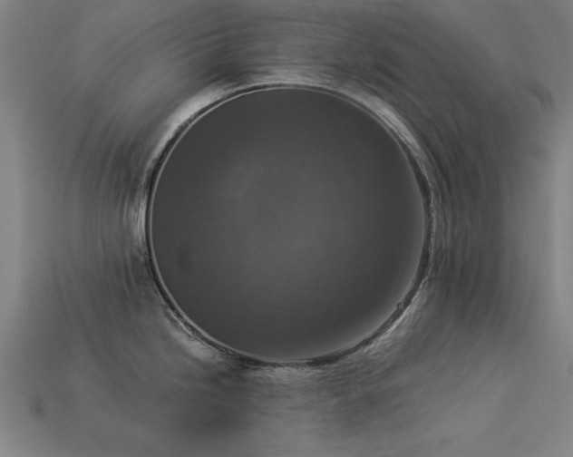 X0000113951246200909251332