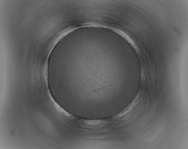 X0000113951247200909251332