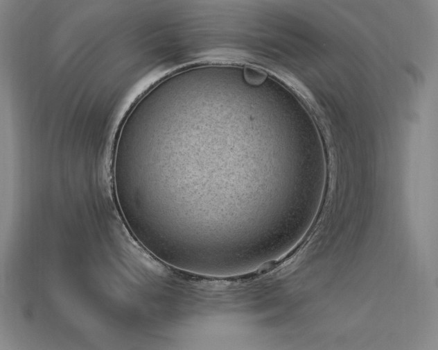 X0000113951248200909251332