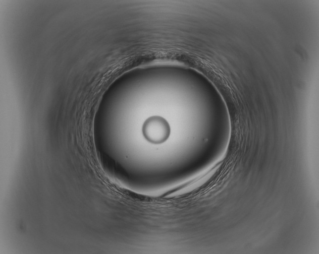 X0000113951249200909251332