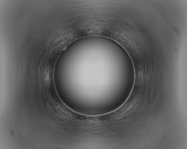 X0000113951250200909251332