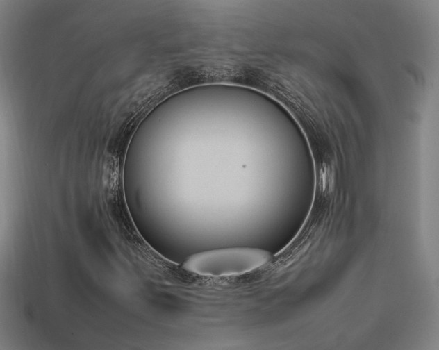 X0000113951251200909251331