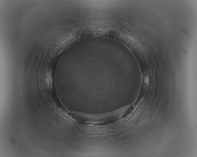 X0000113951252200909251331