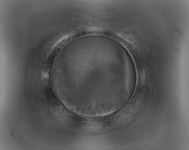 X0000113951254200909251331
