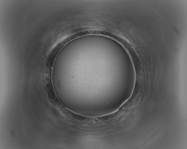 X0000113951255200909251331
