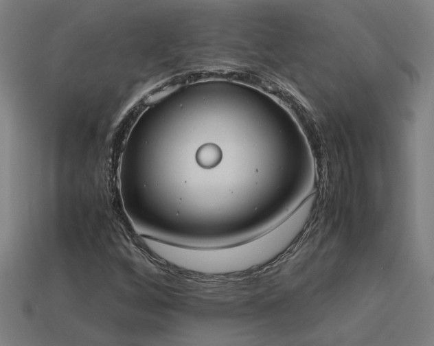 X0000113951256200909251331