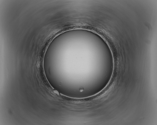 X0000113951257200909251331