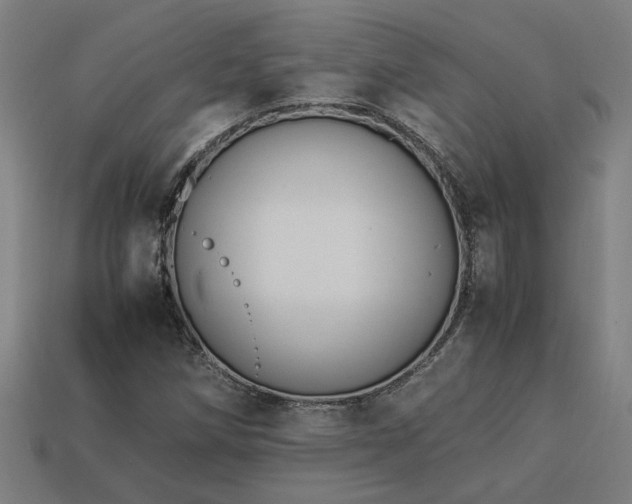 X0000113951258200909251331