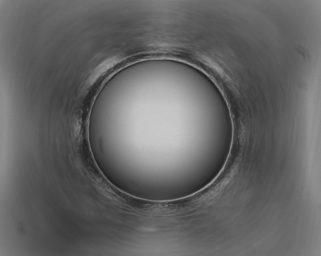 X0000113951259200909251331