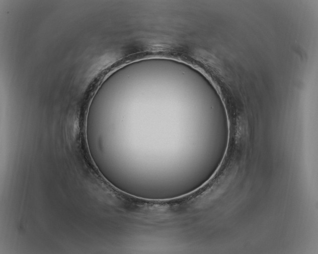 X0000113951261200909251331