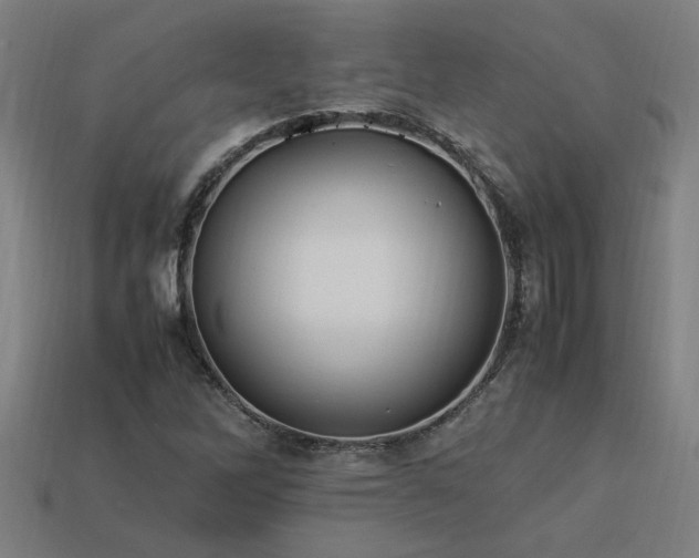 X0000113951262200909251331