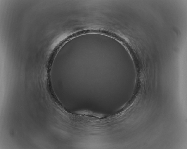 X0000113951263200909251331