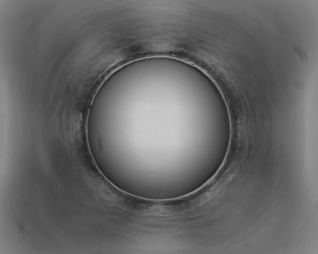 X0000113951265200909251331