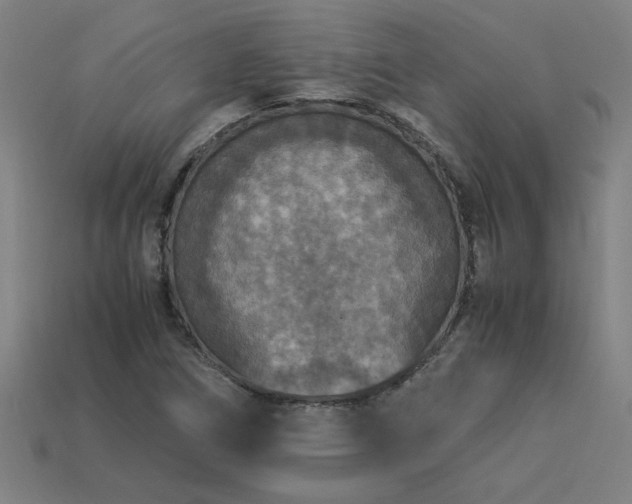 X0000113951266200909251331