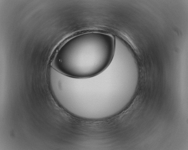 X0000113951268200909251331