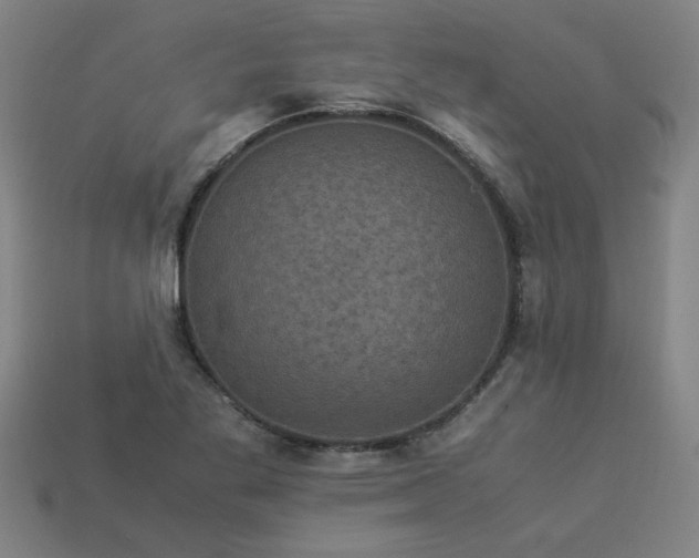 X0000113951269200909251331