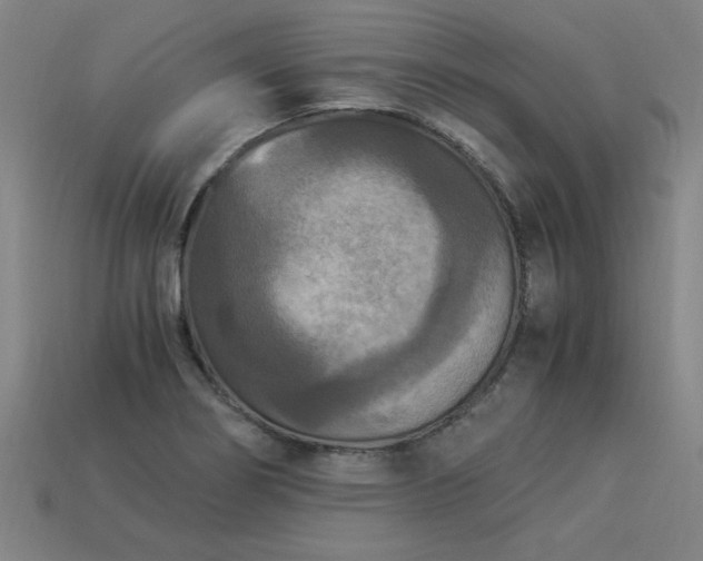 X0000113951274200909251331