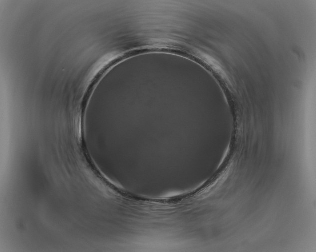 X0000113951275200909251331
