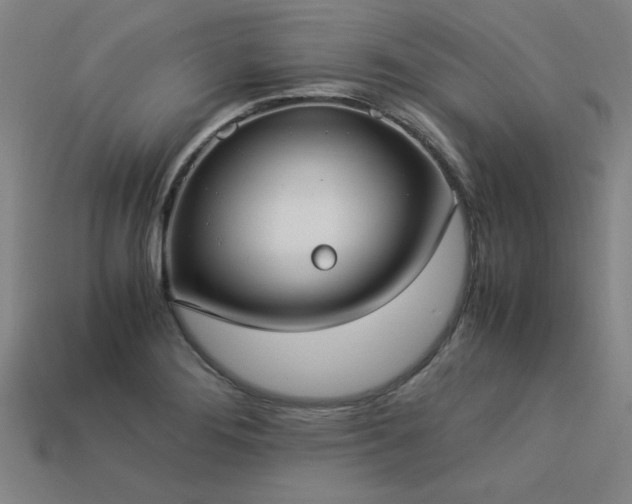 X0000113951276200909251331