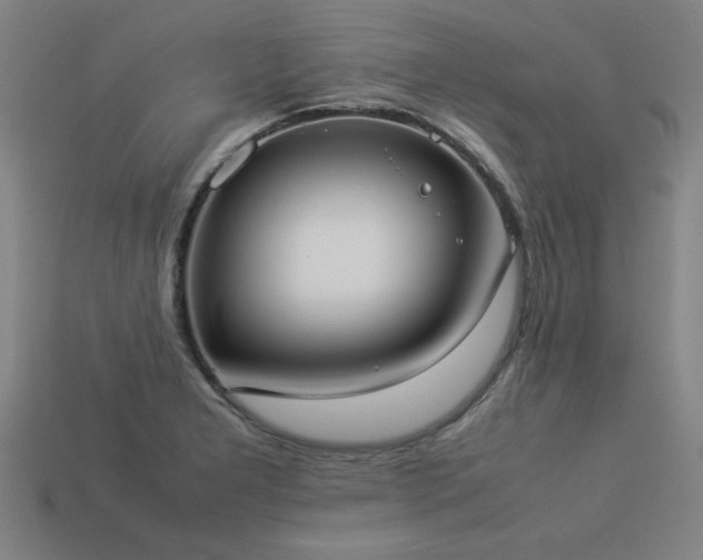 X0000113951277200909251331