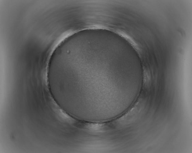 X0000113951278200909251331