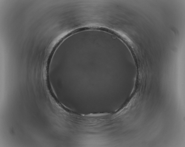 X0000113951279200909251331