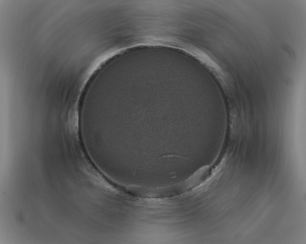 X0000113951280200909251331