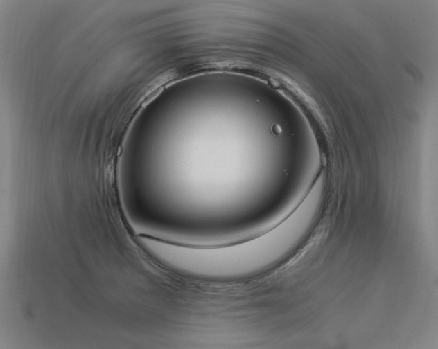 X0000113951281200909251331