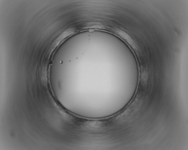 X0000113951282200909251331