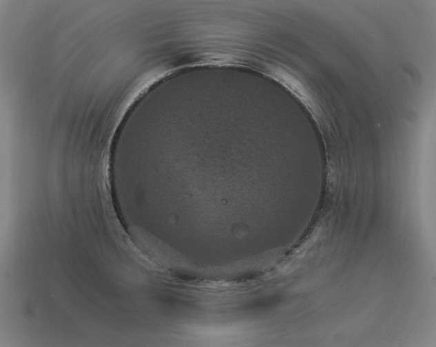 X0000113951283200909251331
