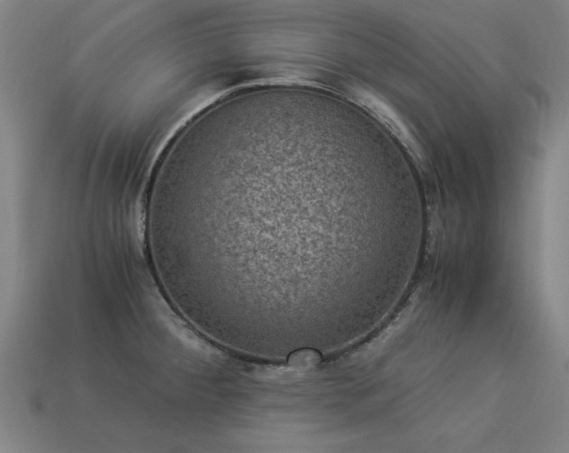 X0000113951284200909251331