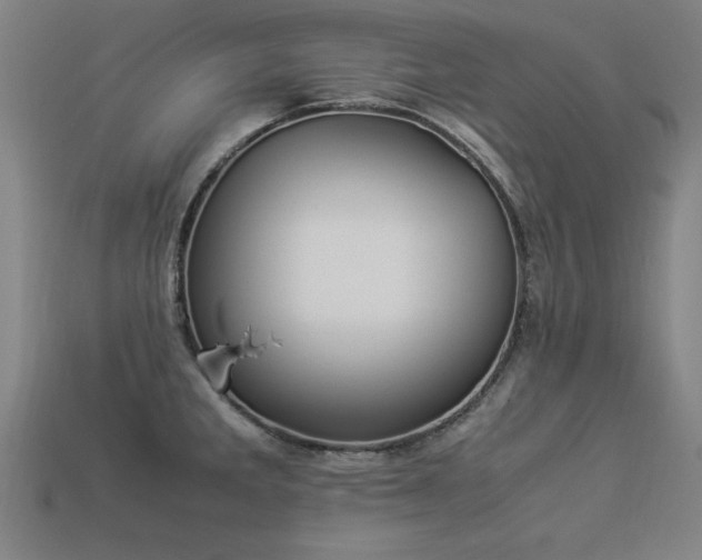 X0000113951285200909251331