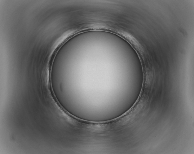 X0000113951286200909251331