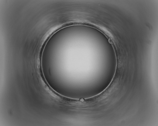 X0000113951287200909251331